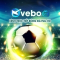 vebozbjcc